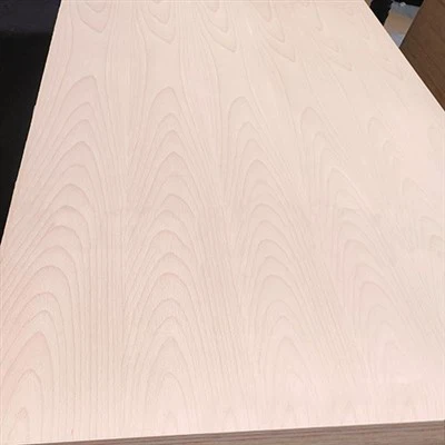 Beech Wood Furniture Panels